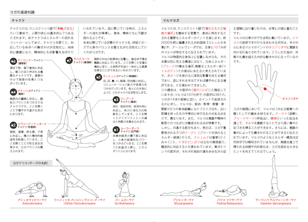 ラーバ・レオパード ヨガ手帳2026(TokyoYogaProject限定版)